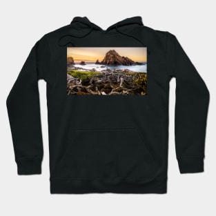 G N A R L Y Hoodie